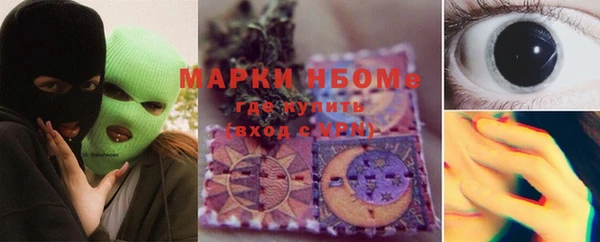 прущие грибы Медвежьегорск