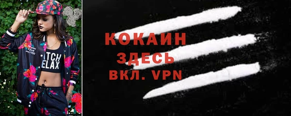 прущие грибы Медвежьегорск