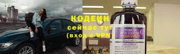 прущие грибы Медвежьегорск