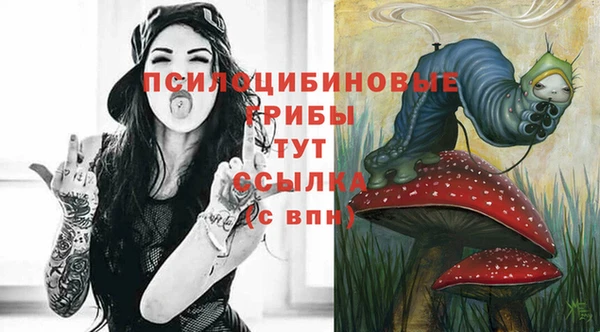 прущие грибы Медвежьегорск
