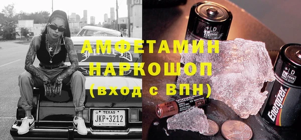 прущие грибы Медвежьегорск