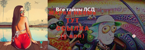 прущие грибы Медвежьегорск