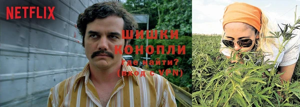 хмурый Медногорск