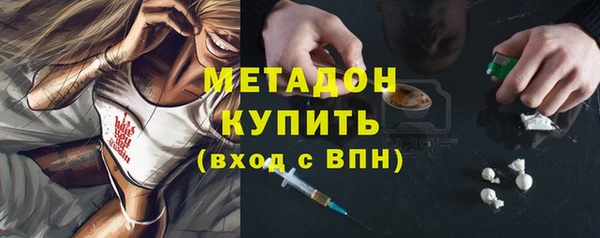 прущие грибы Медвежьегорск