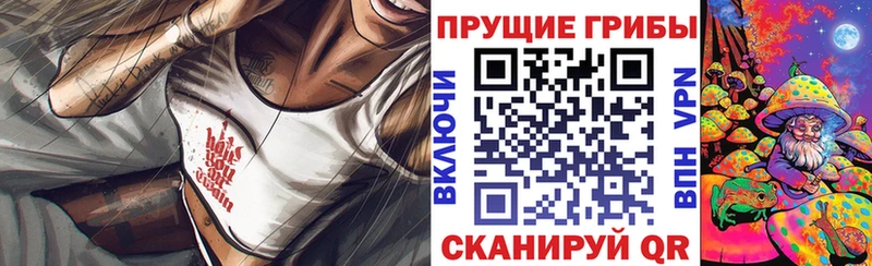 купить сайты Юрюзань Галлюциногенные грибы Psilocybe